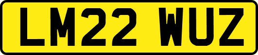 LM22WUZ