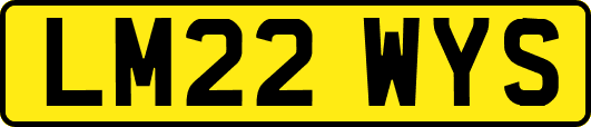 LM22WYS