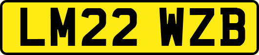 LM22WZB