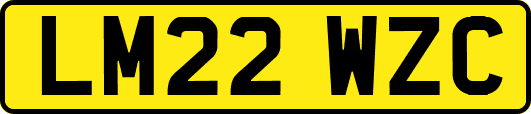 LM22WZC