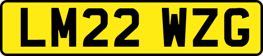 LM22WZG