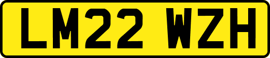 LM22WZH