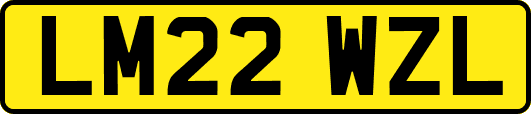 LM22WZL