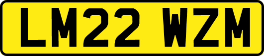 LM22WZM