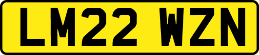 LM22WZN