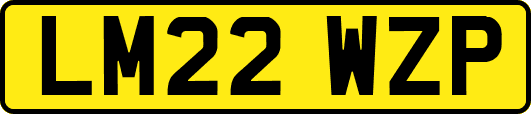 LM22WZP