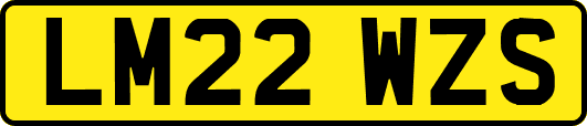 LM22WZS