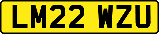 LM22WZU