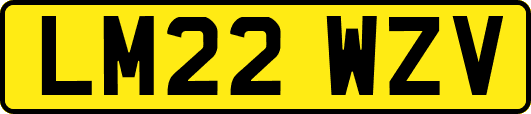 LM22WZV