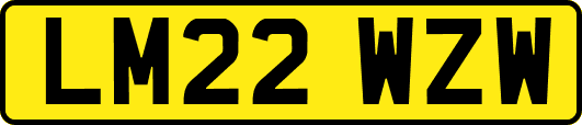 LM22WZW