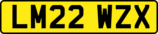 LM22WZX