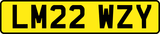 LM22WZY