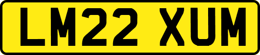 LM22XUM