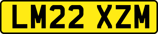 LM22XZM