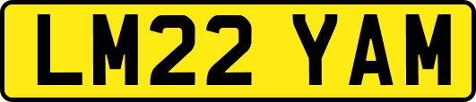 LM22YAM