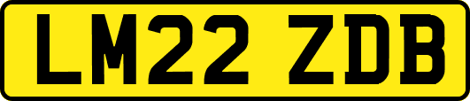 LM22ZDB