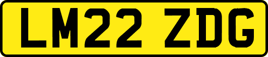 LM22ZDG