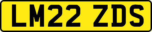 LM22ZDS