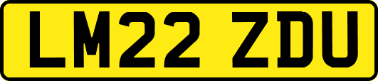 LM22ZDU
