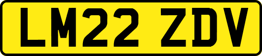 LM22ZDV