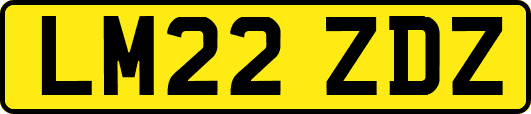LM22ZDZ