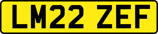 LM22ZEF