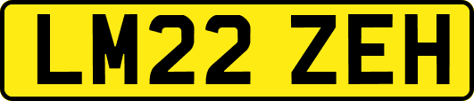 LM22ZEH