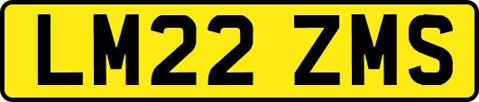 LM22ZMS