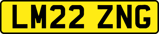LM22ZNG