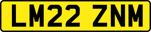 LM22ZNM