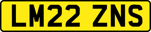 LM22ZNS