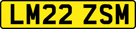 LM22ZSM