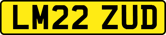 LM22ZUD