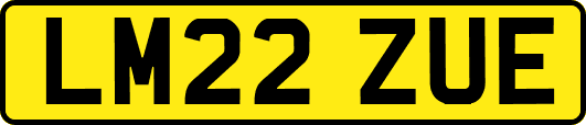 LM22ZUE