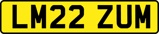 LM22ZUM