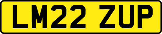 LM22ZUP