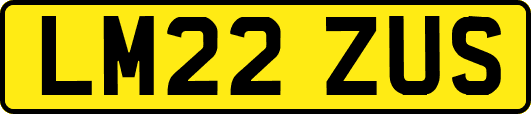 LM22ZUS