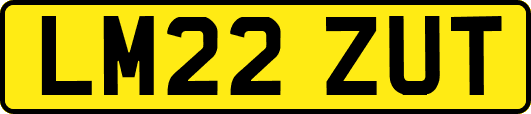 LM22ZUT