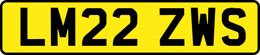 LM22ZWS