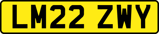 LM22ZWY