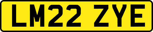 LM22ZYE