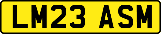 LM23ASM