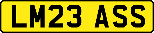 LM23ASS
