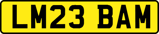 LM23BAM