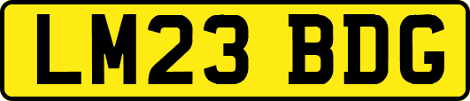 LM23BDG