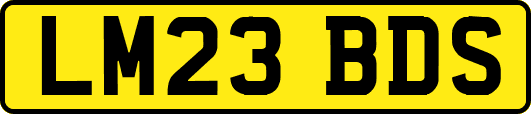 LM23BDS