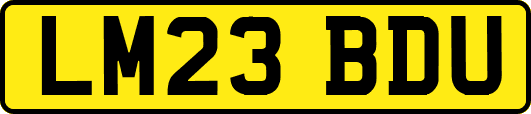 LM23BDU