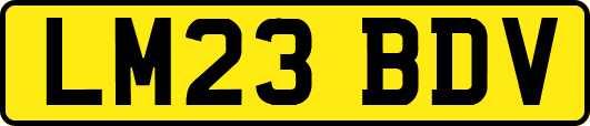 LM23BDV