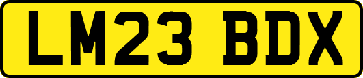 LM23BDX