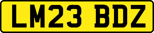 LM23BDZ